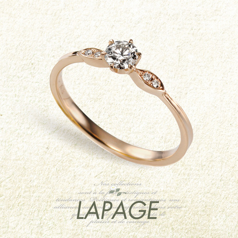 プロヴァンスのレモン樹